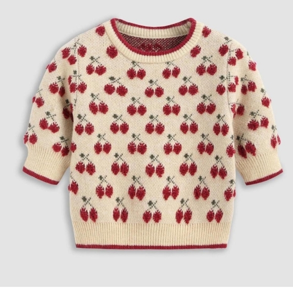 Cider Cream and Red Knit Crop Top - Picture 7 of 11